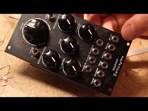 Kit Review # 9 - Erica Synths SWAMP random module