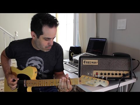 Friedman Runt 20 Amplifier