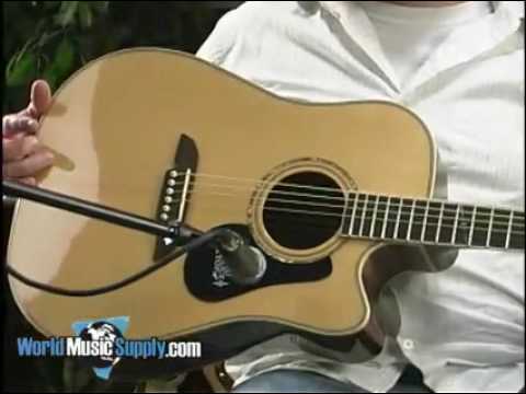 Alvarez PD80 Series Acoustic Guitars