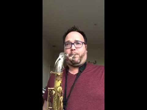 Vintage berg Larsen 120/2 offset m tenor mouthpieces