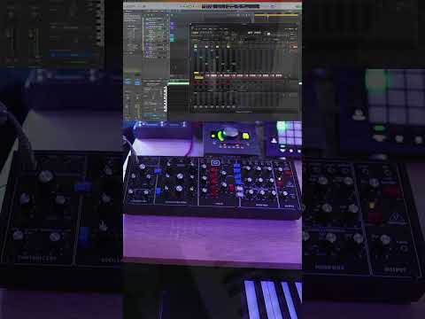 Sequencing #behringermodeld  #ambientmusic  #analogsynthesizer #devicemeisterstepic #logicprox