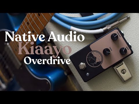 Mellow Tones with the Native Audio Kiaayo Overdrive