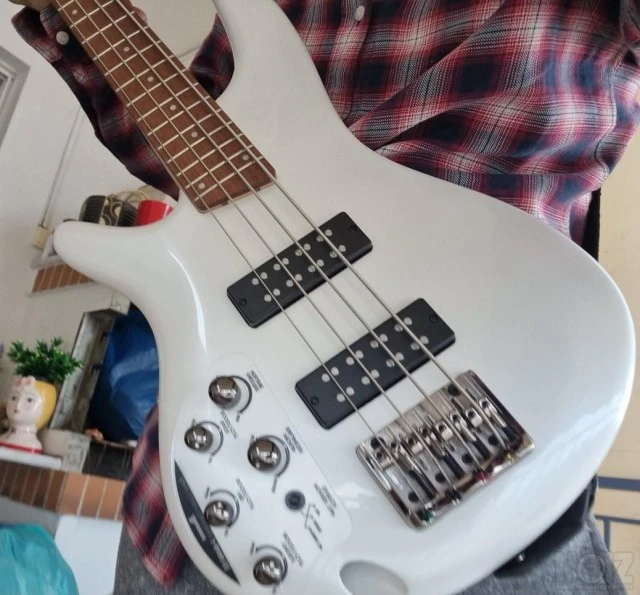 Ibanez SR300E