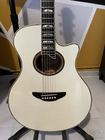 YAMAHA APX 20Z CW (1990-1992)