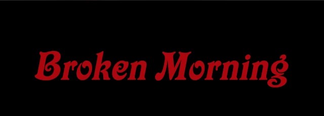  ΔΕΥΤΕΡΟΣ LEAD GUITARIST ΓΙΑ ΤΟΥΣ BROKEN MORNING