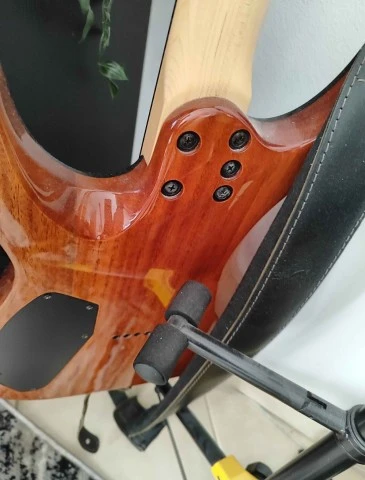 Schecter C-6 Pro