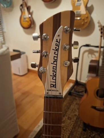 Rickenacker 330