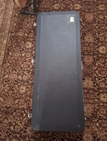 Rickenacker 330