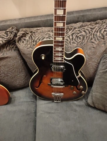 Ibanez FG100