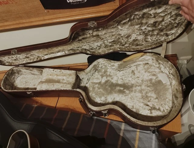 Ibanez FG100