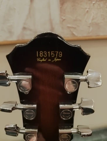 Ibanez FG100