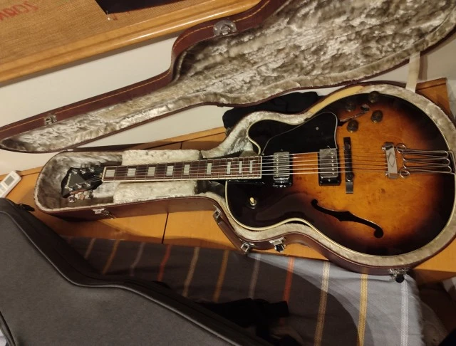 Ibanez FG100