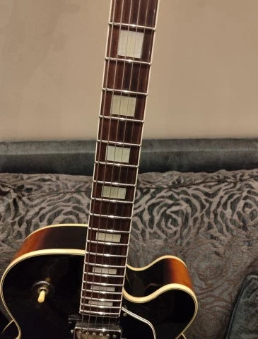 Ibanez FG100
