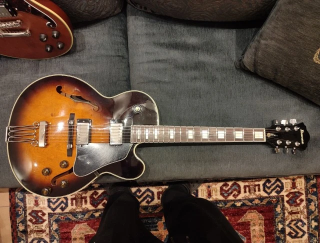 Ibanez FG100