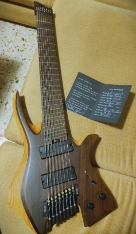 Valravn Headless 8 strings, Fishman Abasi (2021)
