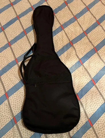  Washburn electric guitar &amp; Soft cas