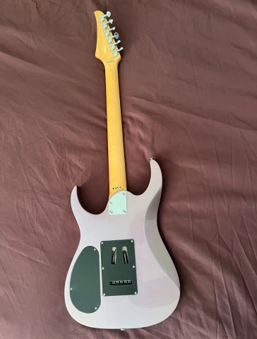  Washburn electric guitar &amp; Soft cas