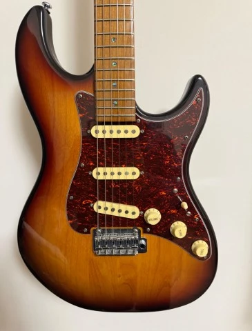 Larry Carlton S7 Vintage 3TS 