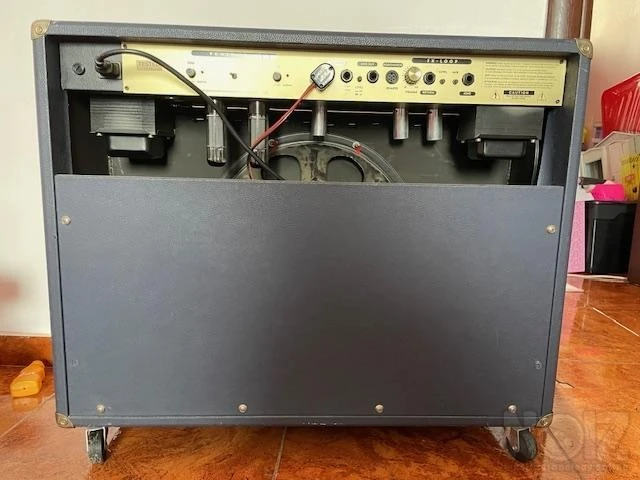 Bulk Sonica Lead Rose Buddy 50 Tube Amp