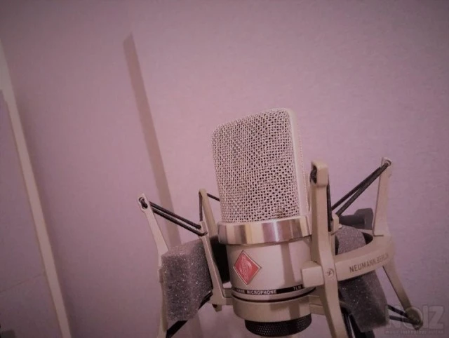 ACOUSTIC PANELS