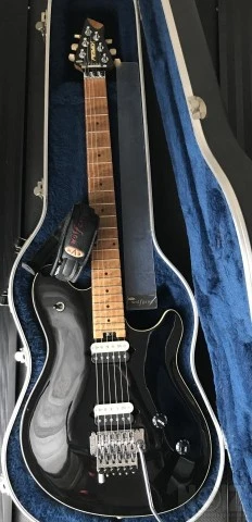 Peavey EVH Wolfgang USA