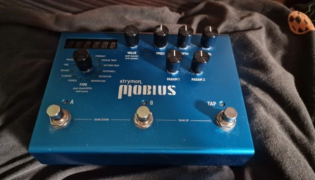 Strymon mobius