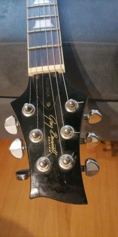 Greg Bennett Avion AV-6 Fastback (Samick