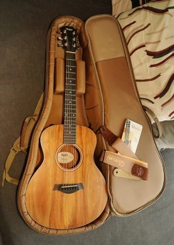Taylor GS Mini-e Koa (2015)