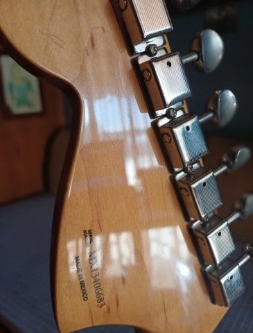 Fender Classic Player Jaguar Special, Ro