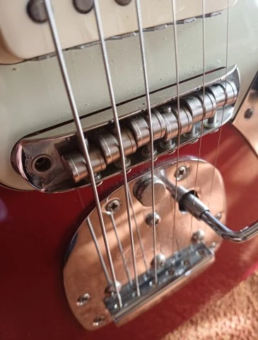 Fender Classic Player Jaguar Special, Ro