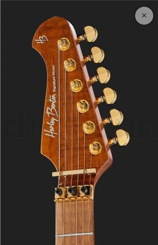 Harley benton - Max Fusion signature