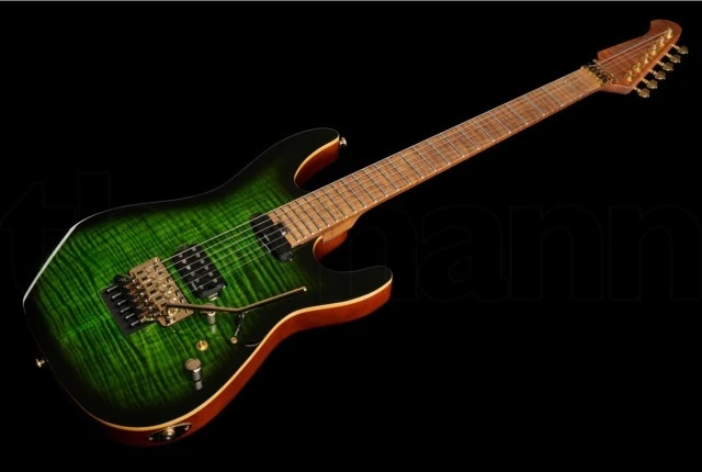 Harley benton - Max Fusion signature