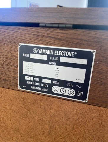 Yamaha Electone A-55