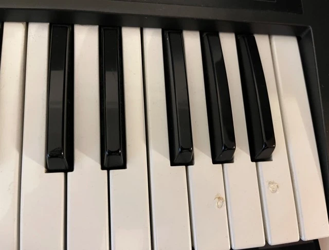 Roland Alpha Juno 1