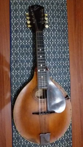 RARE 1910s Gibson Style A Mandolin – Kal