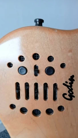 Godin Multiac ACS-SA 2002