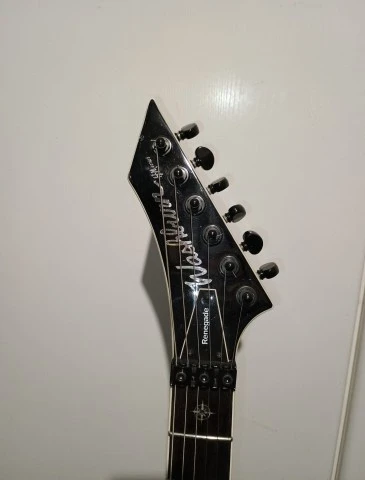Washburn- Renegade 