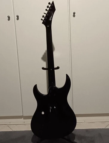 Washburn- Renegade 