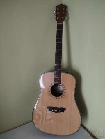 WASHBURN D46S