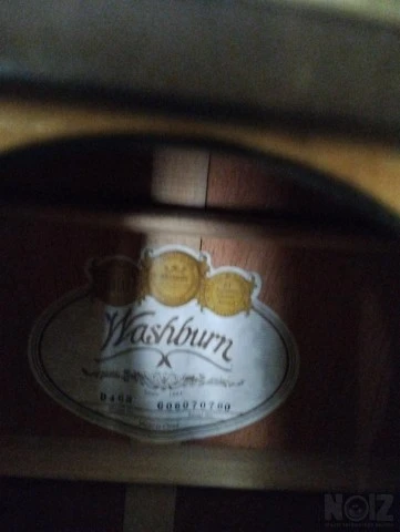 WASHBURN D46S