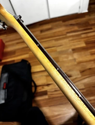Washburn N2 650€