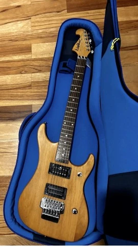 Washburn N2 650€