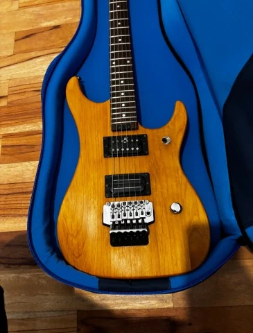 Washburn N2 650€
