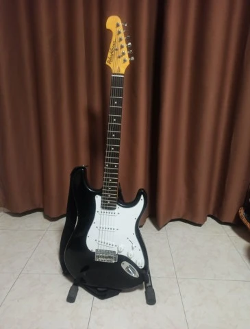 Washburn Sonamaster