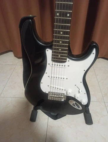 Washburn Sonamaster