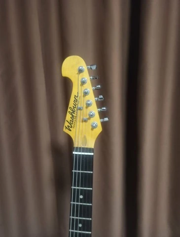 Washburn Sonamaster