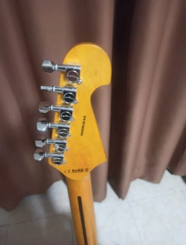 Washburn Sonamaster