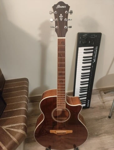 IBANEZ AE 245 NT