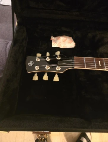 ΥΑΜΑΗΑ Revstar RSP20 Sunset Burst