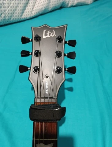 Esp Ltd EC-201